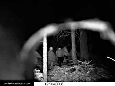 illegal aliens
