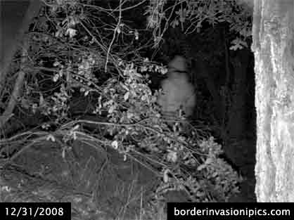 illegal aliens