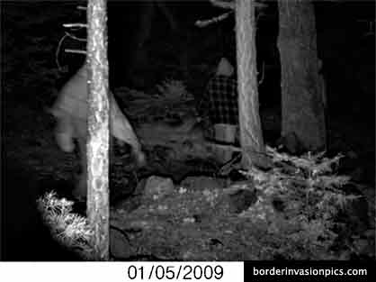 illegal aliens